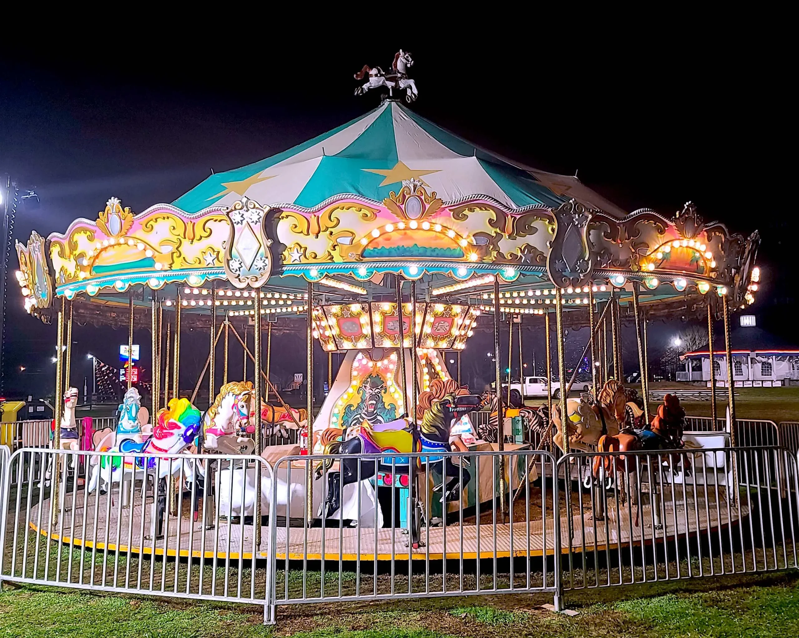 Carousel Ride in the Party Pros East Coast catalog
