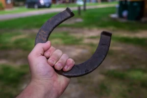 Horseshoe Game in the Party Pros East Coast catalog
