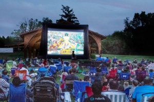 Inflatable Movies in the Party Pros East Coast catalog