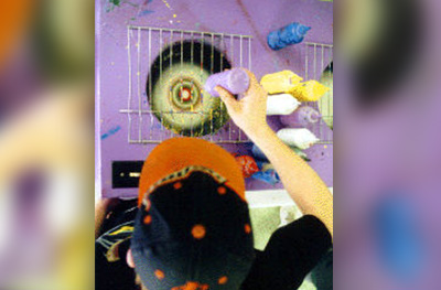 Cookie Art in the Party Pros East Coast catalog