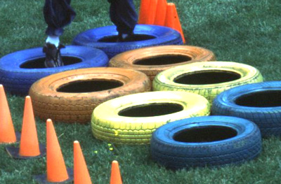Outrageous Obstacle Course in the Party Pros East Coast catalog